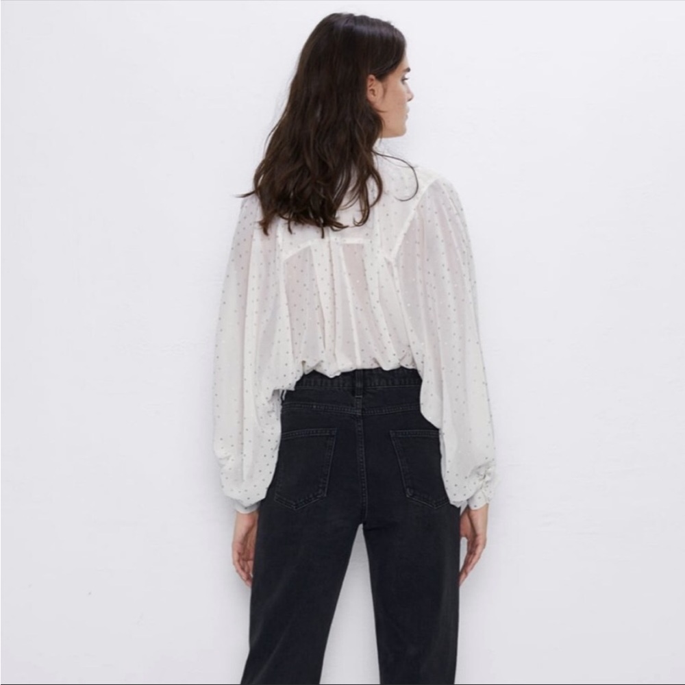Zara Sheer Polka Dot Blouse - Picture 4 of 9